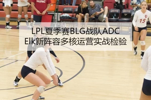 LPL夏季赛BLG战队ADC Elk新阵容多核运营实战检验