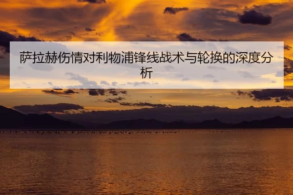 sa-la-he-shang-qing-dui-li-wu-pu-feng-xian-zhan-shu-yu-lun-huan-de-shen-du-fen-xi-2-413.jpg