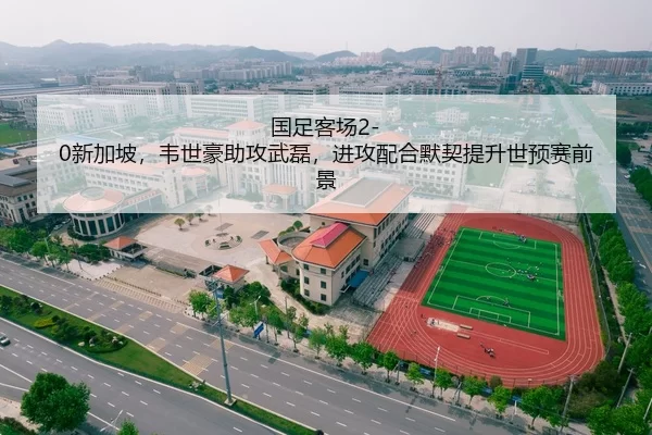 国足客场2-0新加坡，韦世豪助攻武磊，进攻配合默契提升世预赛前景
